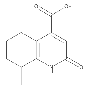 2-Hydroxy-8-methyl-5,6,7,8-tetrahydroquinoline-4-carboxylic acid结构式