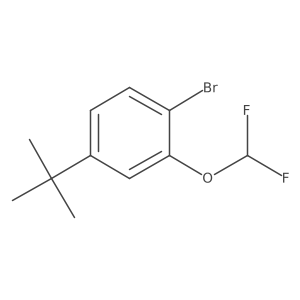 1-Bromo-4-(t-butyl)-2-(difluoromethoxy)benZene结构式