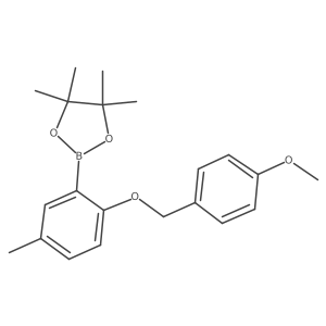 2890194-40-6 structure