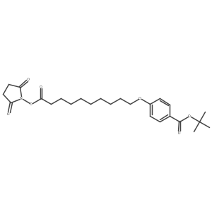 905303-13-1结构式