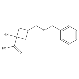 1-Amino-3-[(benzyloxy)methyl]cyclobutane-1-carboxylic acid Structure