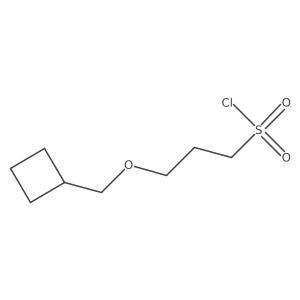 3-(Cyclobutylmethoxy)propane-1-sulfonyl chloride结构式