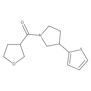 tetrahydrofuran-3-yl-[3-(2-thienyl)pyrrolidin-1-yl]methanone结构式