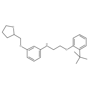 1040681-78-4 structure