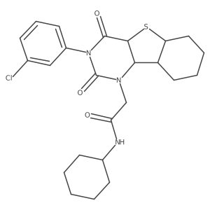 902556-58-5 structure