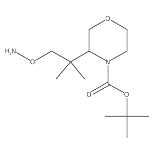 Tert-butyl 3-[1-(aminooxy)-2-methylpropan-2-yl]morpholine-4-carboxylate结构式