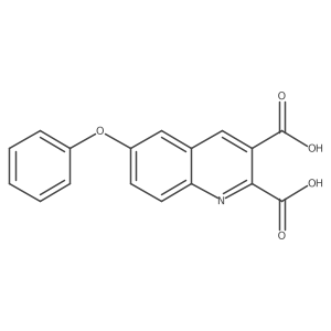 6-Phenoxy-2,3-quinolinedicarboxylic acid Structure