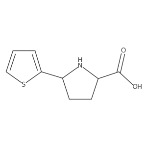 5-(Thiophen-2-yl)pyrrolidine-2-carboxylic acid结构式