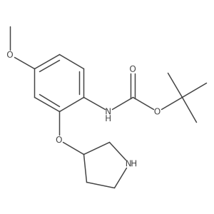 Tert-butyl n-[4-methoxy-2-(pyrrolidin-3-yloxy)phenyl]carbamate Structure