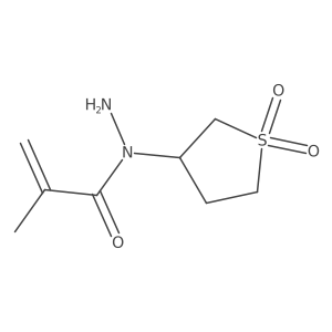 N-(1,1-dioxo-1lambda6-thiolan-3-yl)-2-methylprop-2-enehydrazide Structure