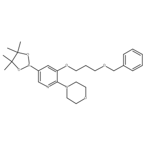 2919580-66-6 structure