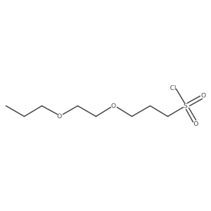 3-(2-Propoxyethoxy)propane-1-sulfonyl chloride结构式