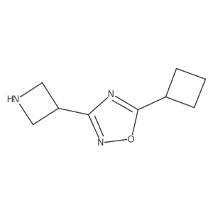 3-(Azetidin-3-yl)-5-cyclobutyl-1,2,4-oxadiazole结构式