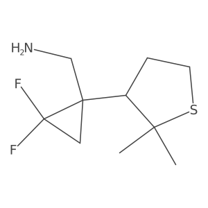 [1-(2,2-Dimethylthiolan-3-yl)-2,2-difluorocyclopropyl]methanamine结构式