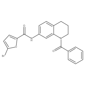 N-(1-benzoyl-1,2,3,4-tetrahydroquinolin-7-yl)-5-bromofuran-2-carboxamide Structure
