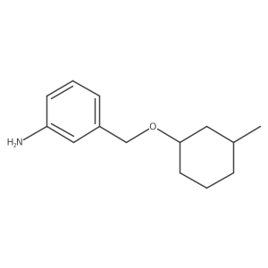 3-{[(3-Methylcyclohexyl)oxy]methyl}aniline结构式