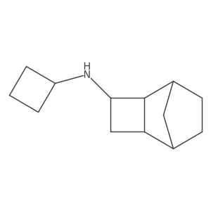 rac-(2R,3S,5S)-N-cyclobutyltricyclo[4.2.1.0,2,5]nonan-3-amine结构式