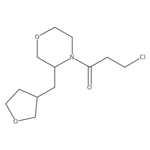 3-Chloro-1-{3-[(oxolan-3-yl)methyl]morpholin-4-yl}propan-1-one结构式