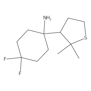 1-(2,2-Dimethylthiolan-3-yl)-4,4-difluorocyclohexan-1-amine结构式