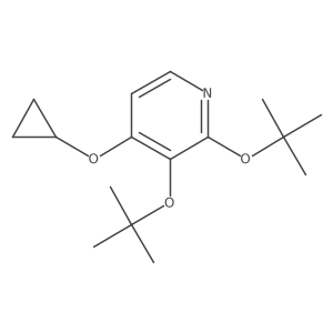 1243459-62-2 structure