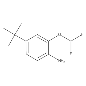 4-Tert-butyl-2-(difluoromethoxy)aniline Structure