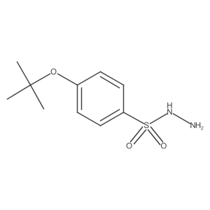 4-(tert-Butoxy)benzenesulfonohydrazide Structure