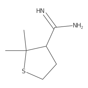 2,2-Dimethylthiolane-3-carboximidamide Structure