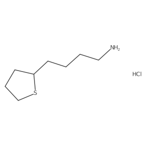 4-(Thiolan-2-yl)butan-1-amine hydrochloride结构式