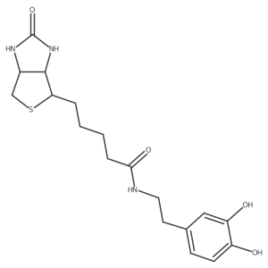 N-(3,4-Dihydroxyphenethyl)-5-(2-oxohexahydro-1H-thieno[3,4-d]imidazol-4-yl)pentanamide结构式
