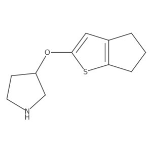 3-{4H,5H,6H-cyclopenta[b]thiophen-2-yloxy}pyrrolidine Structure