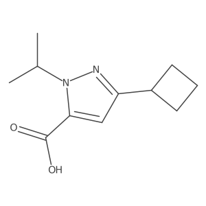 3-cyclobutyl-1-(propan-2-yl)-1H-pyrazole-5-carboxylic acid结构式