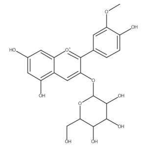 260256-26-6结构式