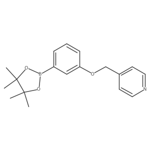 1595291-55-6 structure
