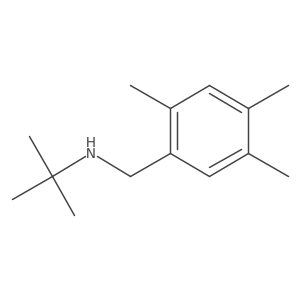 tert-Butyl[(2,4,5-trimethylphenyl)methyl]amine结构式