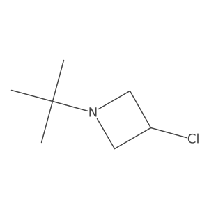 N-t-butyl-3-chloroazetidine Structure