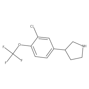 3-(3-Chloro-4-(trifluoromethoxy)phenyl)pyrrolidine Structure