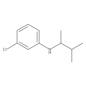 3-chloro-N-(3-methylbutan-2-yl)aniline Structure