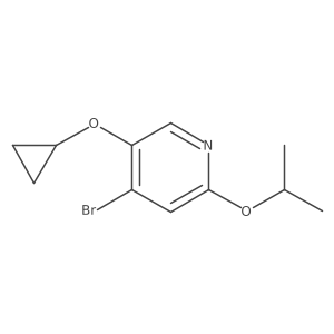1243372-61-3 structure
