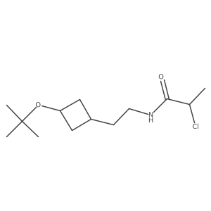 N-{2-[3-(tert-butoxy)cyclobutyl]ethyl}-2-chloropropanamide结构式