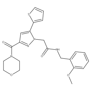 N-(2-methoxybenzyl)-2-(3-(morpholine-4-carbonyl)-5-(thiophen-2-yl)-1H-pyrazol-1-yl)acetamide Structure