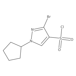 3-Bromo-1-cyclopentylpyrazole-4-sulfonyl chloride Structure