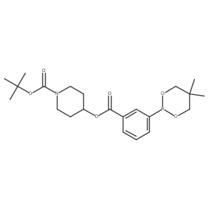 tert-Butyl 4-[3-(5,5-dimethyl-1,3,2-dioxaborinan-2-yl)benzoyloxy]piperidine-1-carboxylate结构式