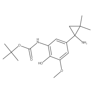tert-butyl N-[5-(1-amino-2,2-dimethylcyclopropyl)-2-hydroxy-3-methoxyphenyl]carbamate Structure