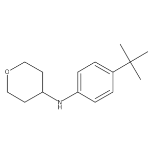 N-(4-(tert-butyl)phenyl)tetrahydro-2H-pyran-4-amine Structure