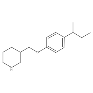 3-{[4-(sec-Butyl)phenoxy]methyl}piperidine结构式