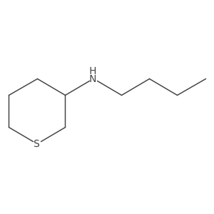 N-Butyltetrahydro-2H-thiopyran-3-amine Structure