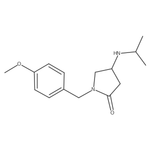 1-[(4-Methoxyphenyl)methyl]-4-[(propan-2-yl)amino]pyrrolidin-2-one结构式