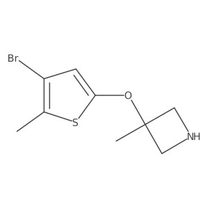 3-[(4-Bromo-5-methylthiophen-2-yl)oxy]-3-methylazetidine结构式