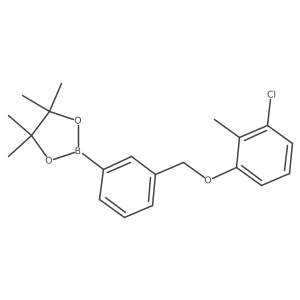2246759-04-4 structure