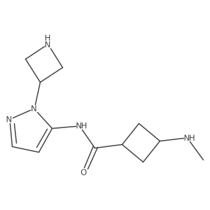 N-[1-(azetidin-3-yl)-1H-pyrazol-5-yl]-3-(methylamino)cyclobutane-1-carboxamide结构式